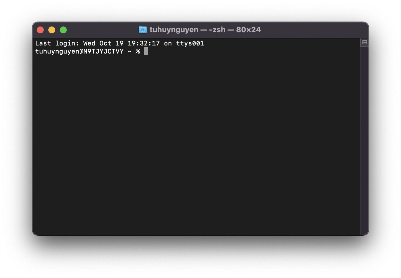 Zsh terminal